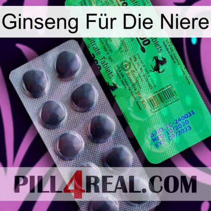 Ginseng Für Die Niere new04